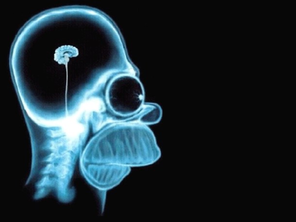 homerbrain